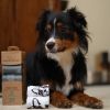 Best Pet Supplies Dog Poop Bags  for Waste Refuse Cleanup